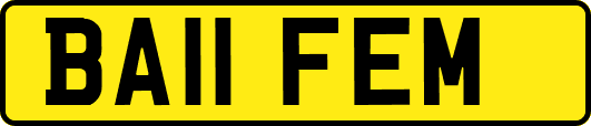 BA11FEM