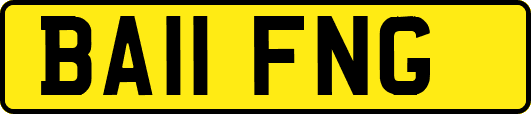 BA11FNG