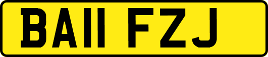 BA11FZJ