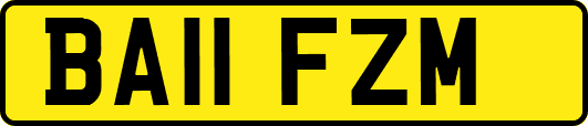 BA11FZM