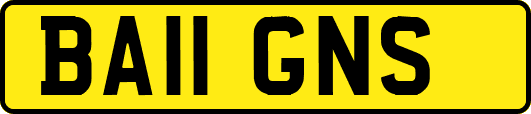BA11GNS