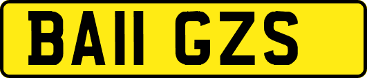 BA11GZS