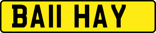 BA11HAY