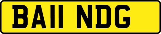 BA11NDG
