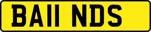 BA11NDS
