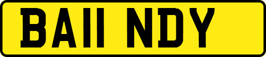 BA11NDY