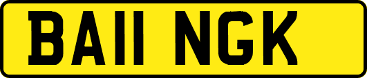 BA11NGK