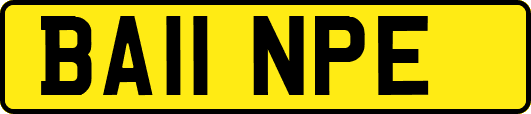 BA11NPE