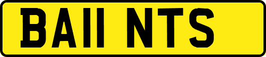 BA11NTS