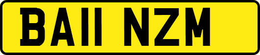 BA11NZM