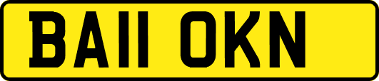 BA11OKN