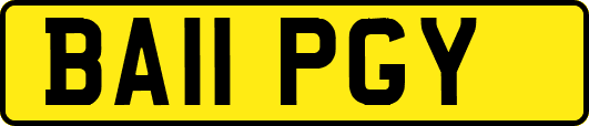 BA11PGY