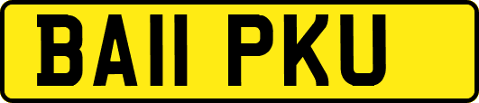 BA11PKU