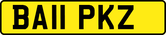 BA11PKZ