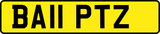 BA11PTZ