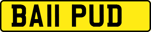 BA11PUD
