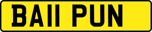 BA11PUN