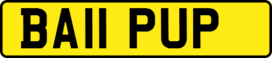BA11PUP