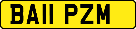 BA11PZM