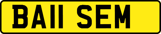 BA11SEM