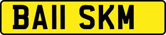BA11SKM