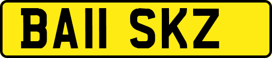 BA11SKZ