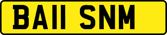 BA11SNM