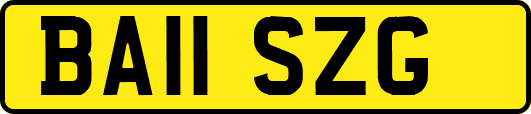 BA11SZG