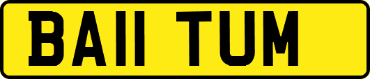 BA11TUM