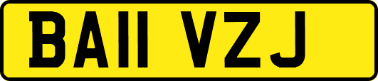BA11VZJ