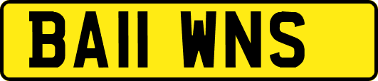BA11WNS