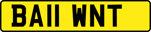 BA11WNT