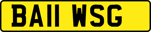 BA11WSG