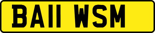 BA11WSM