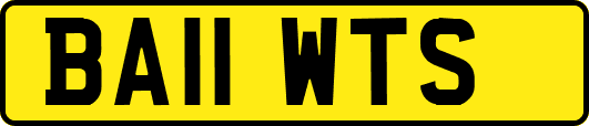 BA11WTS