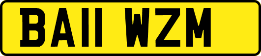 BA11WZM