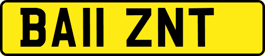 BA11ZNT