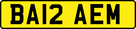 BA12AEM