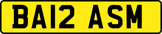 BA12ASM