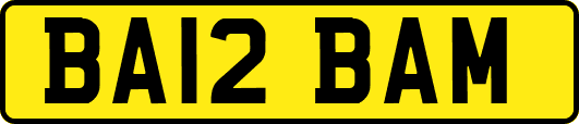 BA12BAM