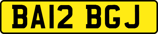 BA12BGJ