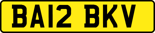 BA12BKV
