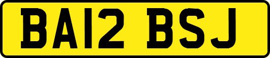BA12BSJ