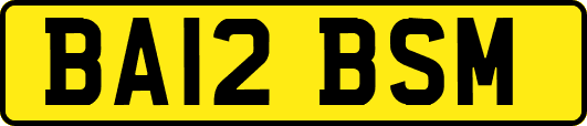 BA12BSM