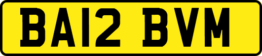 BA12BVM