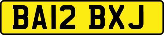 BA12BXJ