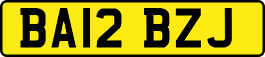 BA12BZJ