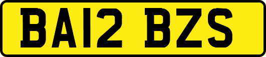 BA12BZS