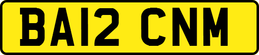 BA12CNM