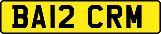 BA12CRM